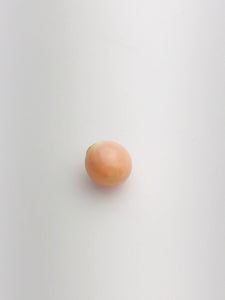 Conch Pearl Loose 11.4mm x 10.1mm No. 5