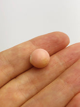 Conch Pearl Loose 11.4mm x 10.1mm No. 5