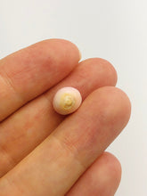 Conch Pearl Loose 9.4mm x 8.0mm No. 8