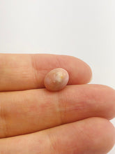 Conch Pearl Loose 10.3mm x 7.3mm No. 10