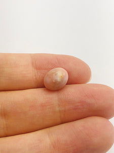 Conch Pearl Loose 10.3mm x 7.3mm No. 10