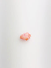 Conch Pearl Loose 8.9mm x 4.1mm No. 12