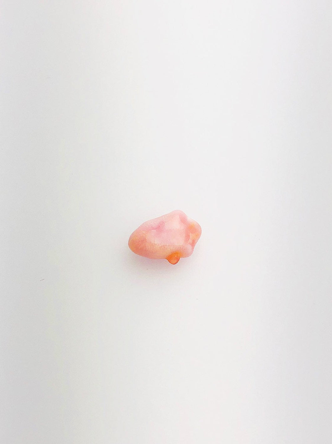 Conch Pearl Loose 8.9mm x 4.1mm No. 12