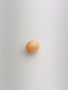 Conch Pearl Loose 9.72mm x 7.74mm No. 22