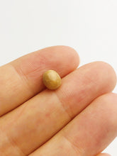 Conch Pearl Loose 7.38mm x 5.65mm No. 23