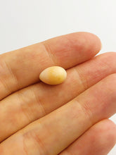 Conch Pearl Loose 12.24mm x 7.38mm No. 24