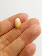 Conch Pearl Loose 12.24mm x 7.38mm No. 24