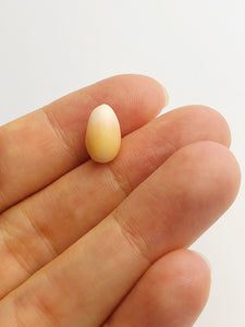 Conch Pearl Loose 12.24mm x 7.38mm No. 24