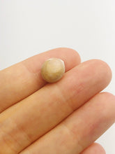 Conch Pearl Loose 11.35mm x 6.44mm No. 28