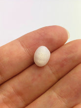 Tridacna White Clam Pearl Loose 10.63mm x 7.59mm No. 32