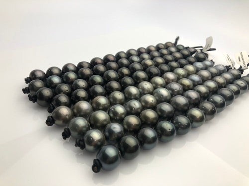 16mm HUGE 50% Off Special - Tahitian Pearl Bracelets, Tahiti Pearls A+ (951 No.1-8)