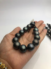 16mm HUGE 50% Off Special - Tahitian Pearl Bracelets, Tahiti Pearls A+ (949 No.1-4)