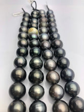 16mm HUGE 50% Off Special - Tahitian Pearl Bracelets, Tahiti Pearls A+ (949 No.1-4)