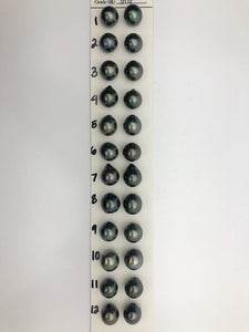 Tahitian Matched Pairs - 10-11mm (877)
