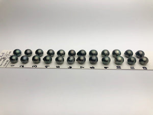 Tahitian Matched Pairs - 10-11mm (877)