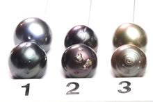 Paired Tahitian Pearl Matched Sets (12-14mm), Pick Your Pearls! (PLP009)