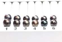 Paired Tahitian Pearl Matched Sets (12-14mm), Pick Your Pearls! (PLP030)