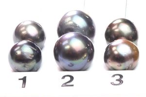 Paired Tahitian Pearl Matched Sets (12-14mm), Pick Your Pearls! (PLP018)