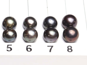 Paired Tahitian Pearl Matched Sets (12-13mm), Pick Your Pearls! (PLP110)