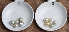 South Sea Loose Pearls, Pick your Pearls! (SSLP005)
