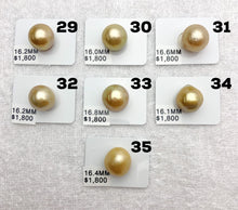 Loose Golden South Sea Pearls (933)