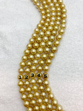 15mm Golden South Sea pearl Strands, natural colors, sea pearls, round shape # 923