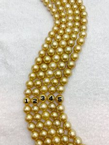 15mm Golden South Sea pearl Strands, natural colors, sea pearls, round shape # 923
