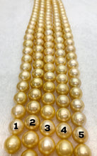 Huge Golden South Sea Pearl Strands (932)
