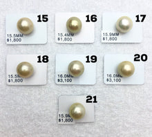17.5mm Loose Golden South Sea Pearls, golden pearls, yellow pearls (934)