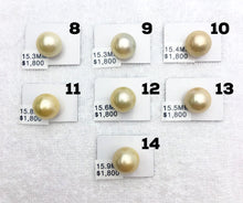 17.5mm Loose Golden South Sea Pearls, golden pearls, yellow pearls (934)