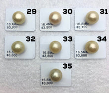 17.5mm Loose Golden South Sea Pearls, golden pearls, yellow pearls (934)