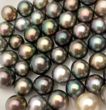 Tahitian Pearls AAA, Near round, Oval Shape in AAA Quality, 12-14mm (Lot No. 41)