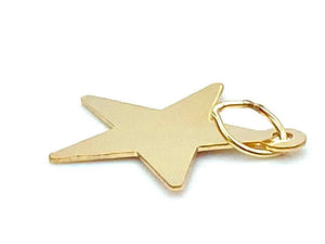14KGF Star Charm , Sku#1456-C