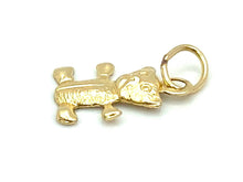 14KGF Charn , Sku#159-C