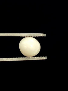 Natural Conch Pearl , Sku#070111