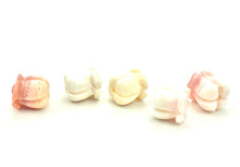 Conch Shell Crown Flower, Sku#M26