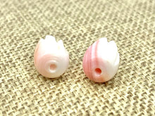 Tulip Bead, Conch Shell, Tulip, Conch bead, 100% Natural Colors, Sku#M25