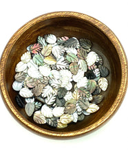 Philodendron split leaf Mother Of Pearl Beads, Sku#M67