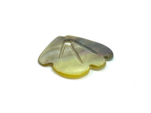 Mother Of Pearl Shell, Sku#269