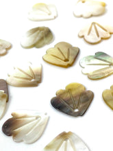 Mother Of Pearl Shell, Sku#269