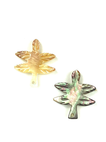 Mother Of Pearl Shell, Sku#M253