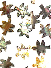 Mother Of Pearl Shell, Sku#M253