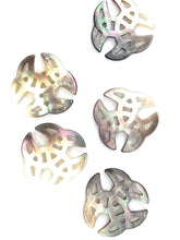 Mother Of Pearl Shell, Sku#M383
