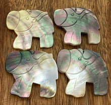 M397 Black Tahitian Mop Elephant