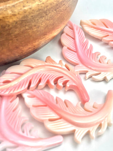 Mother Of Pearl Plant Sku#M552