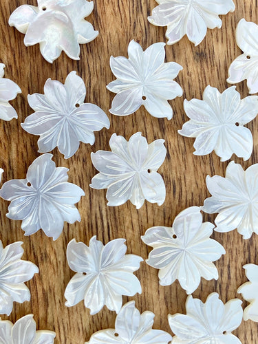 Mother Of Pearl Shell, Sku#M371