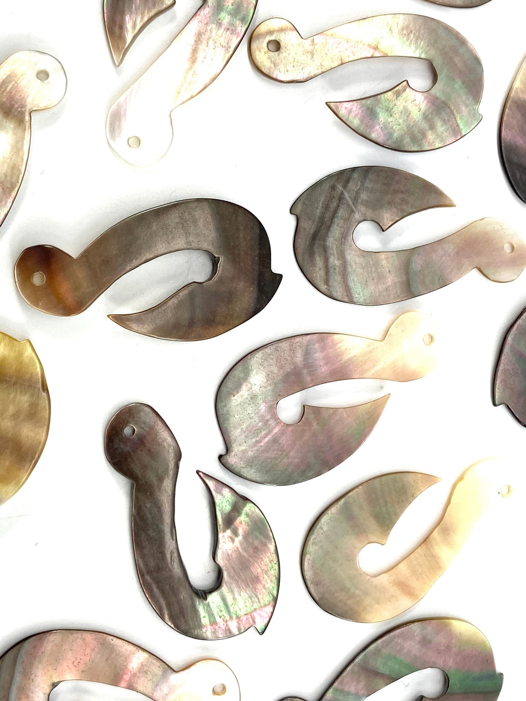 Mother Of Pearl Hook Shell, Sku#M320