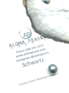 15.49mm AAA, Tahiti Pearl 100% natural color Tahitian pearl
