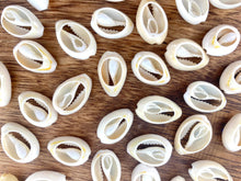 Mother Of Pearl Shells, Sku#M655-2