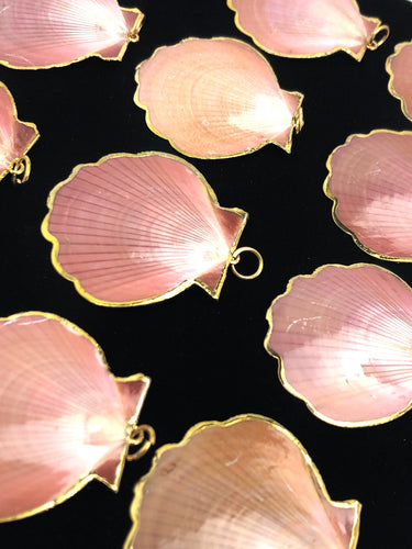 Mother Of Pearl Shells Sku#M665